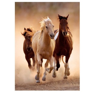 puzzle 1000 pezzi running horses