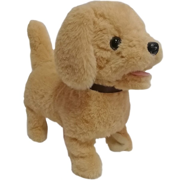 cucciolo che passione a spasso con te 