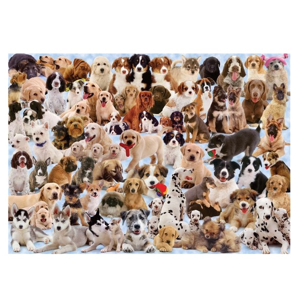puzzle 1000 pezzi cani del mondo