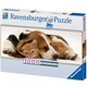 puzzle 1000 pezzi amicizia bestiale 