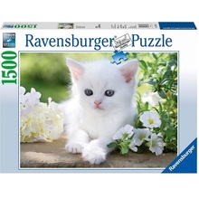 puzzle 1500 pezzi gattino bianco