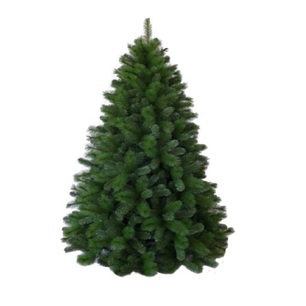 albero canada cm 180