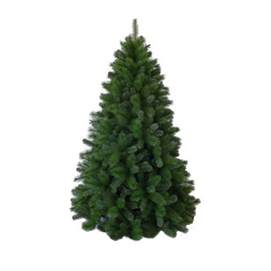 albero canada cm 240 