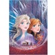 puzzle 104 pezzi frozen ii