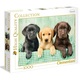puzzle 1000 pezzi cuccioli di labrador