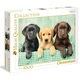 puzzle 1000 pezzi cuccioli di labrador