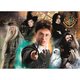 puzzle 500 pezzi harry potter