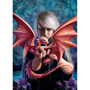 puzzle 1000 pezzi anne stokes protector