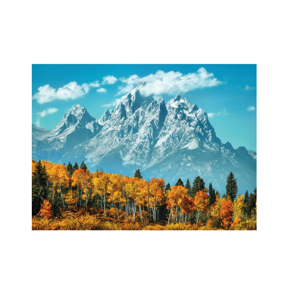 puzzle 500 pezzi grand teton in fall