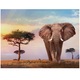 puzzle 500 pezzi african sunset