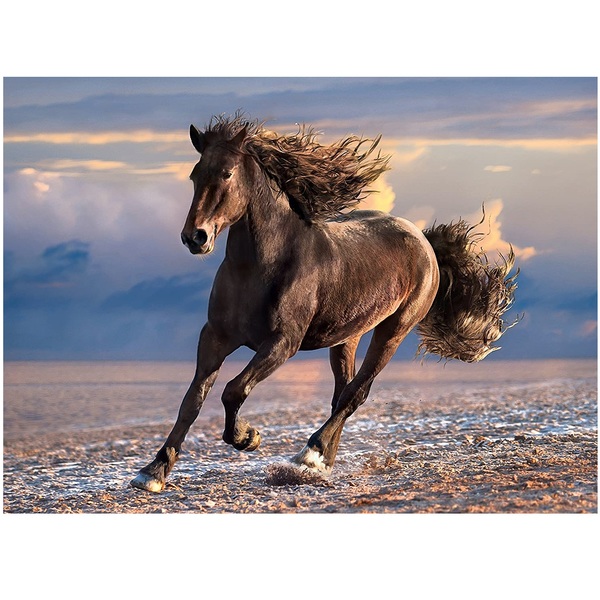 puzzle 1000 pezzi free horse