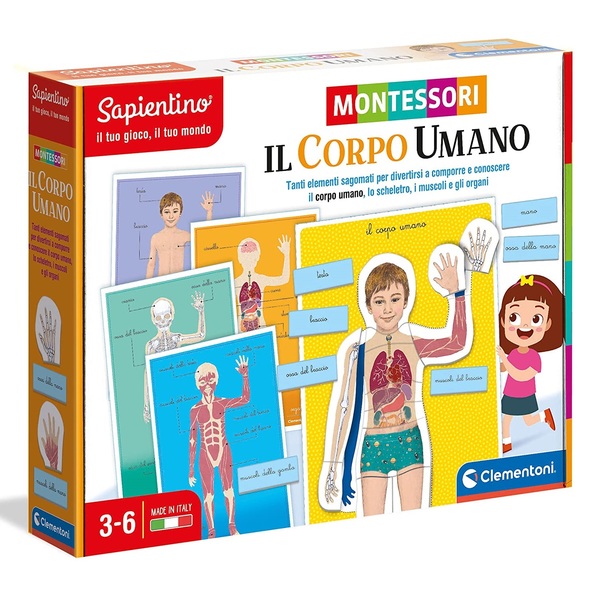 montessori il corpo umano