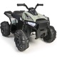 quad boxer 12v 