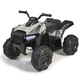 quad boxer 12v 