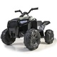 quad boxer 12v 