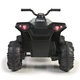 quad boxer 12v 