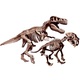 archeogiocando - t-rex e smilodon