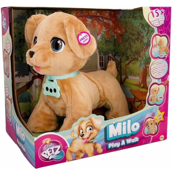 milo play and walk