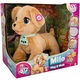milo play and walk