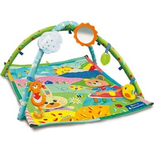 my first discoveries activity gym