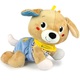 cagnolino gattona con me