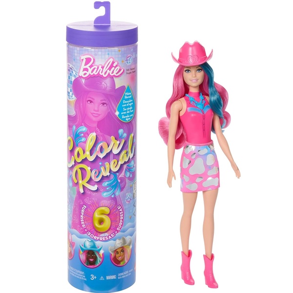 barbie color reveal country chic