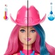 barbie color reveal country chic