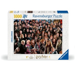 puzzle 1000 pezzi harry potter challenge