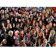 puzzle 1000 pezzi harry potter challenge